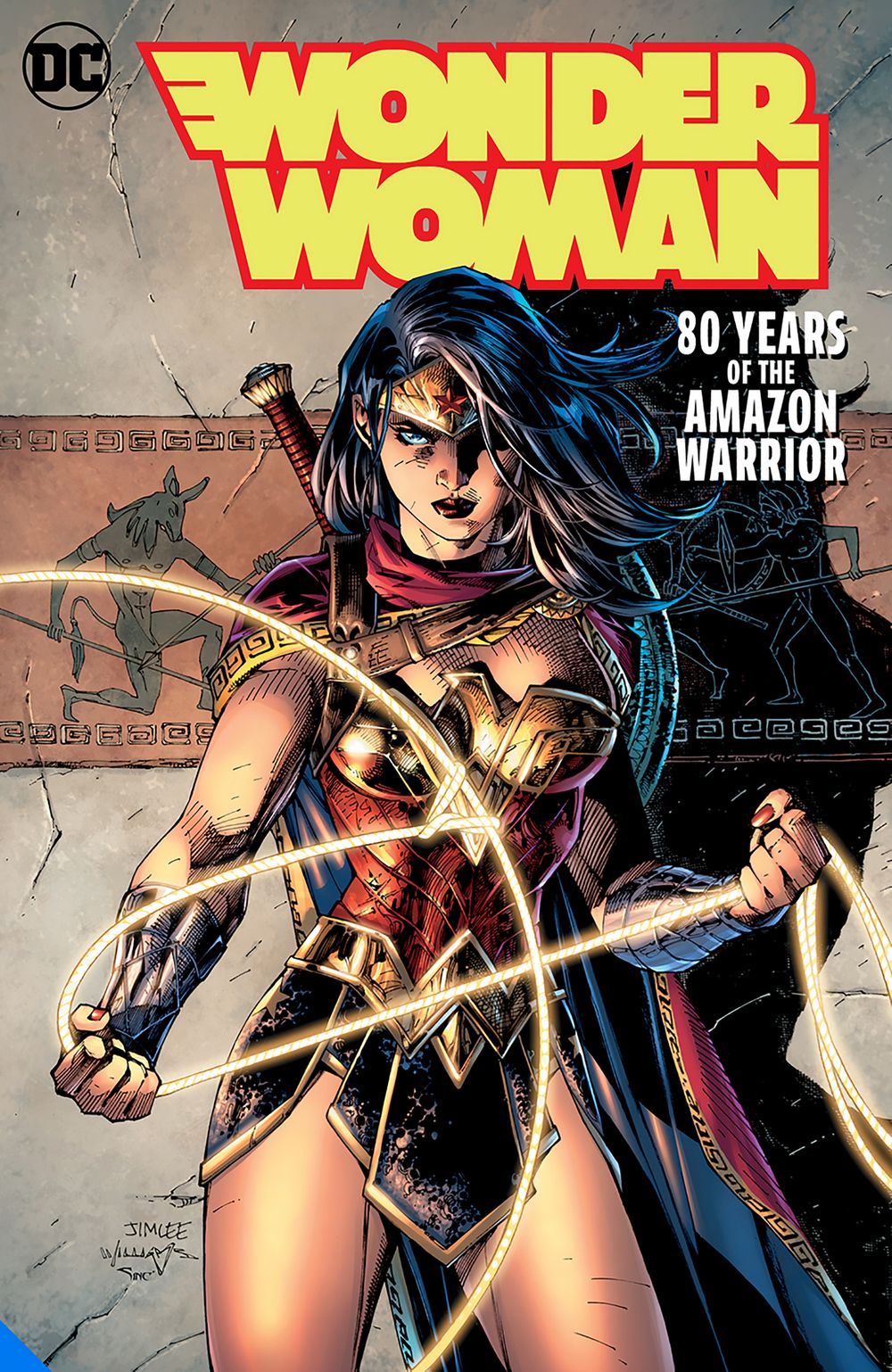 Wonder Woman 80 Year Amazon Warrior Dlx Ed HC